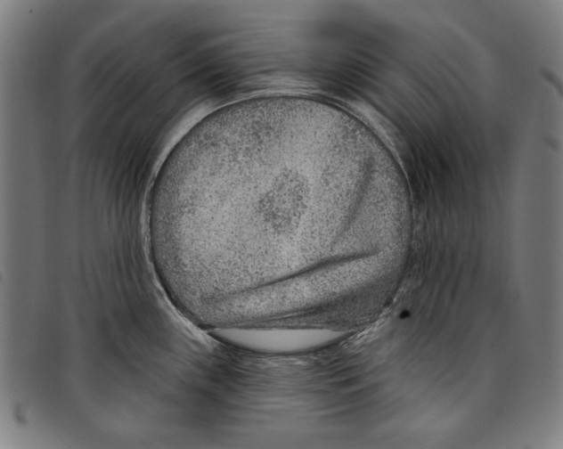 X0000097751243200804041056