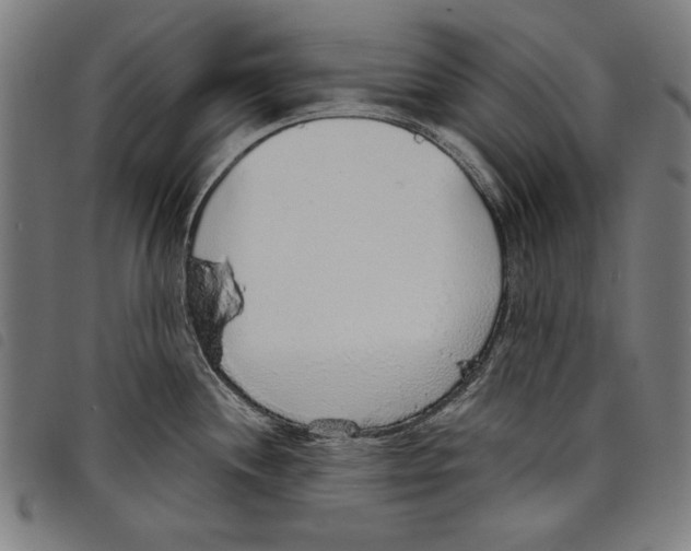 X0000097751244200804041056