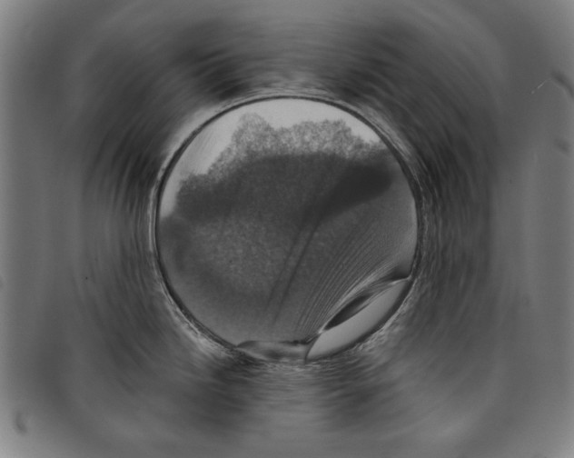 X0000097751246200804041056