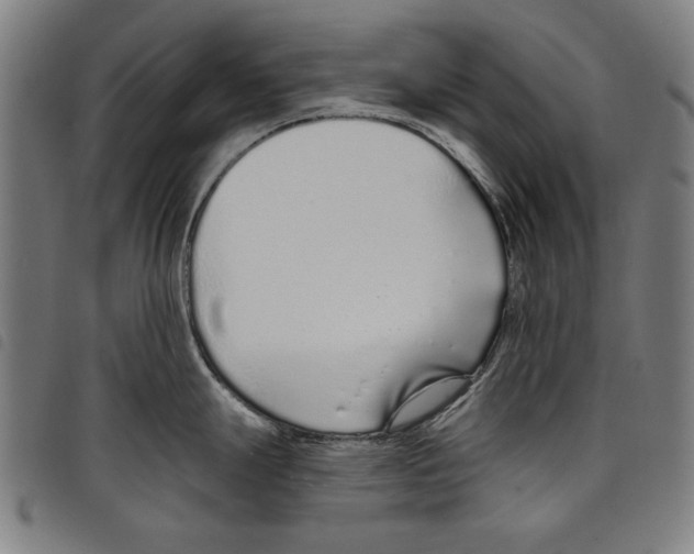 X0000097751247200804041056