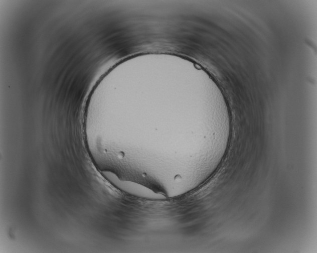 X0000097751248200804041056