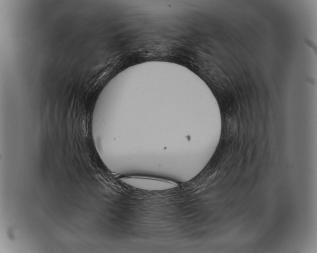 X0000097751250200804041055