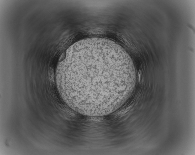 X0000097751251200804041055