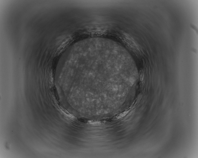 X0000097751252200804041055