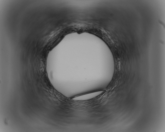 X0000097751253200804041055