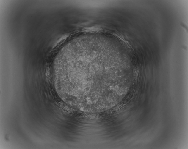 X0000097751254200804041055