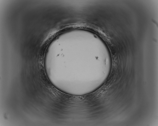 X0000097751255200804041055