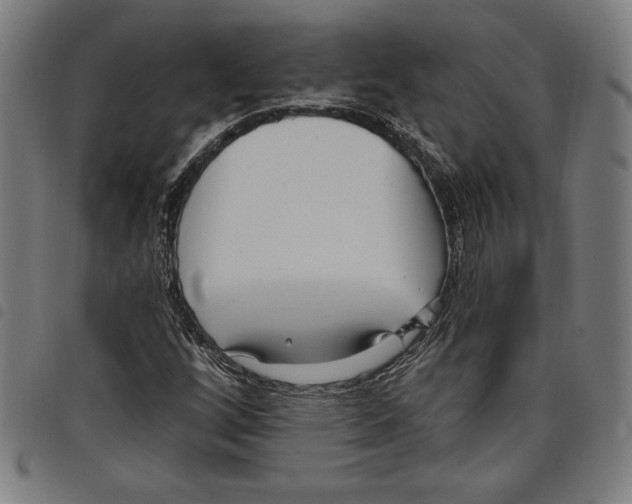 X0000097751256200804041055