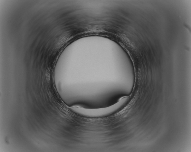 X0000097751257200804041055