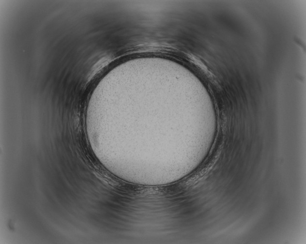 X0000097751259200804041055