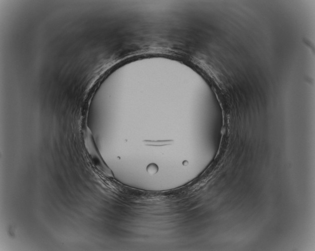 X0000097751260200804041055