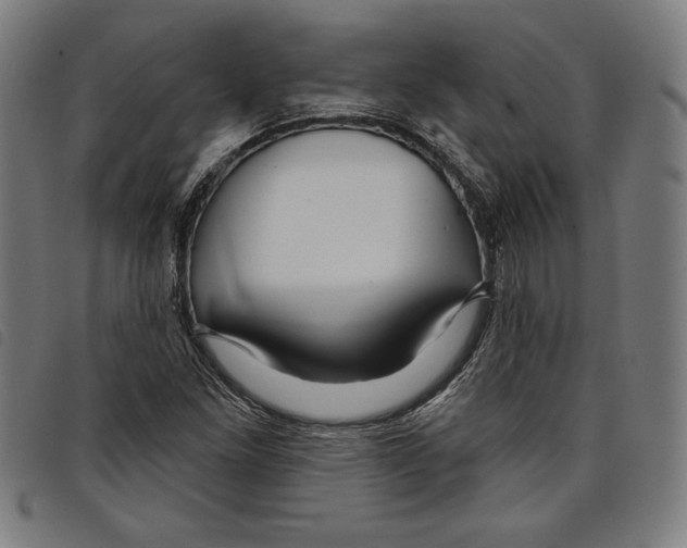 X0000097751261200804041055