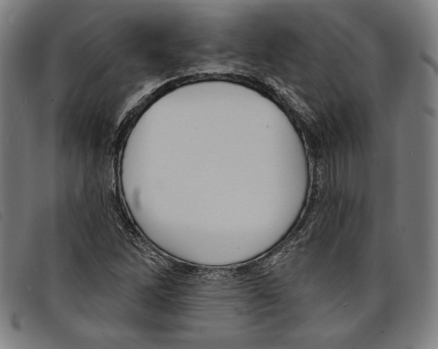 X0000097751262200804041055