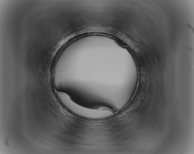 X0000097751264200804041055