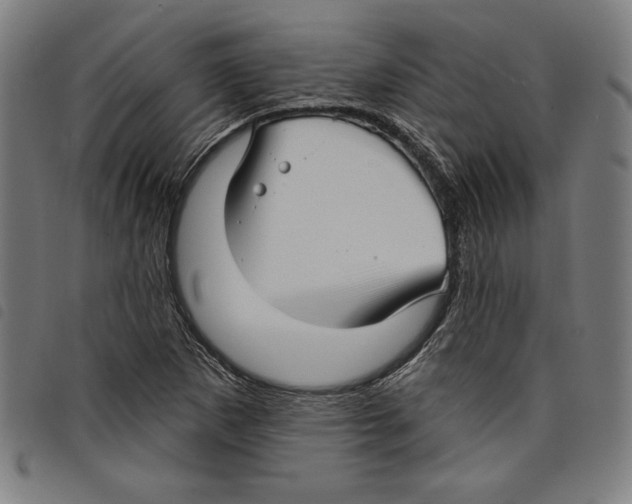 X0000097751265200804041055