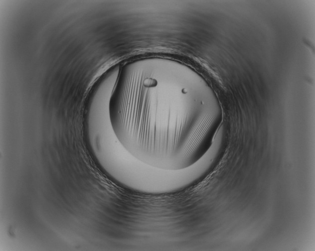 X0000097751266200804041055