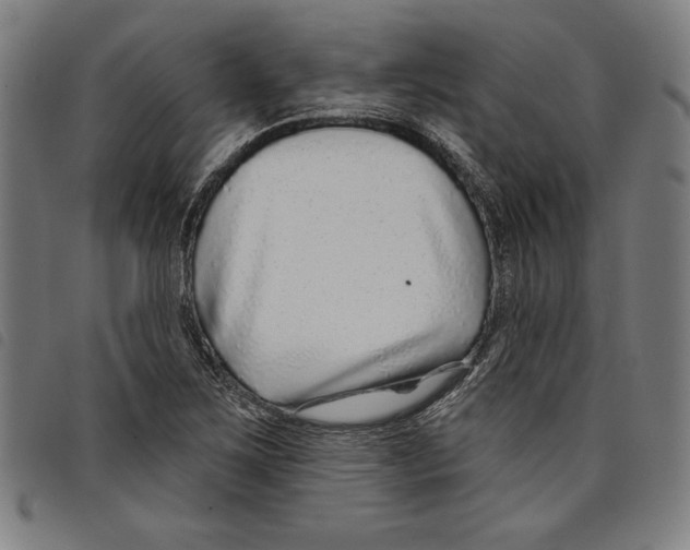 X0000097751267200804041055