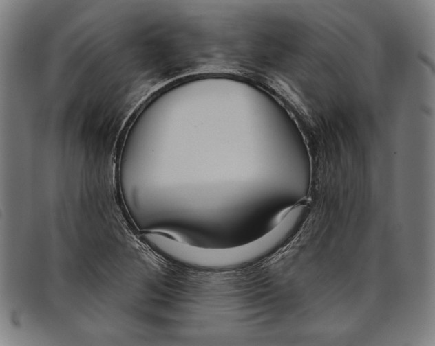 X0000097751268200804041055