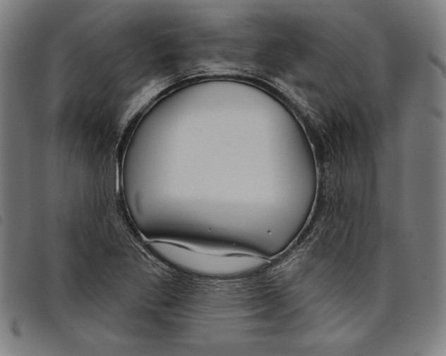 X0000097751269200804041055