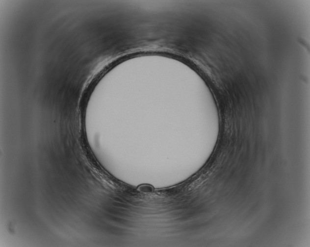 X0000097751270200804041055