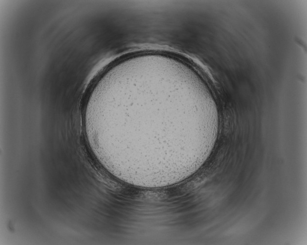 X0000097751271200804041055