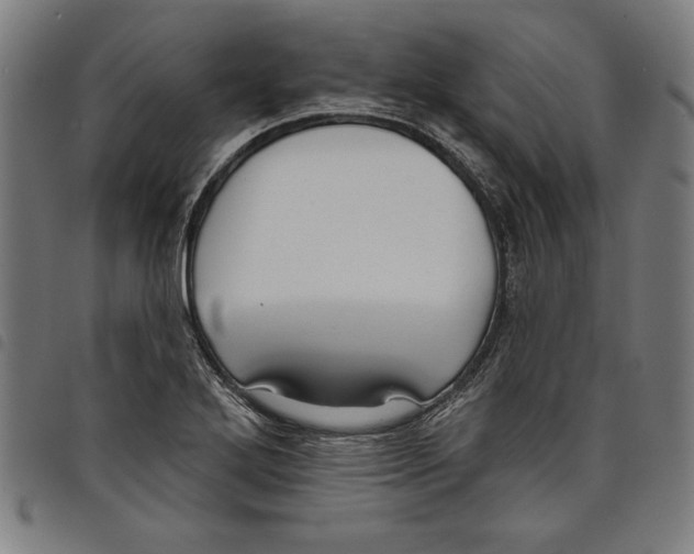 X0000097751272200804041055