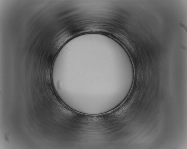 X0000097751273200804041055