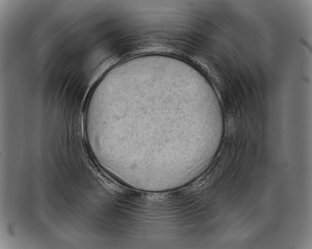 X0000097751274200804041055