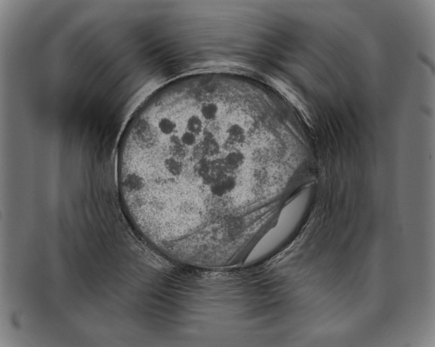 X0000097751275200804041055