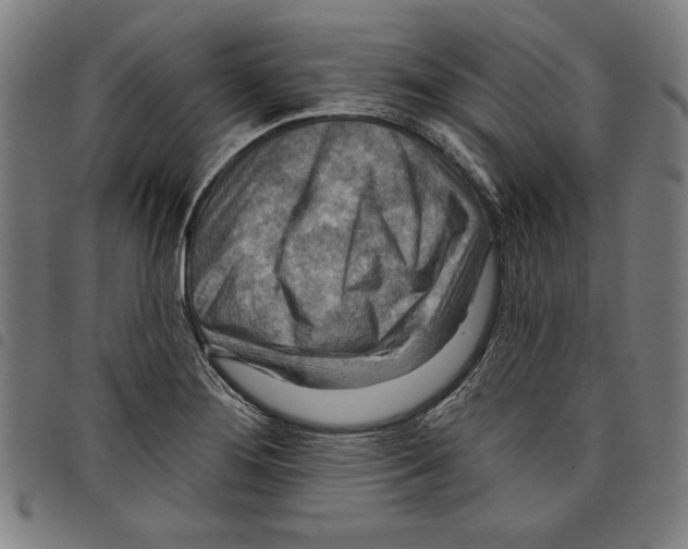 X0000097751276200804041055