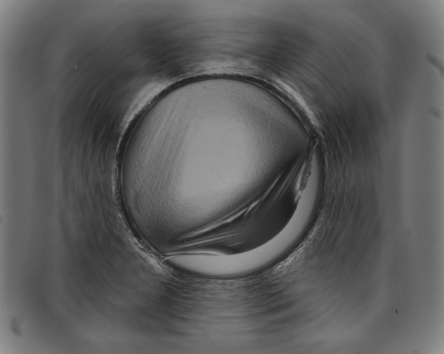 X0000097751277200804041055