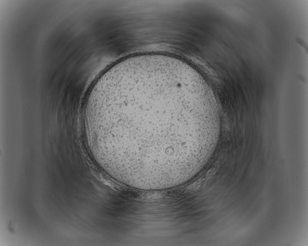 X0000097751278200804041055