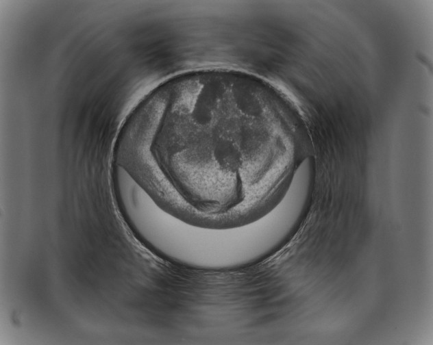 X0000097751279200804041054