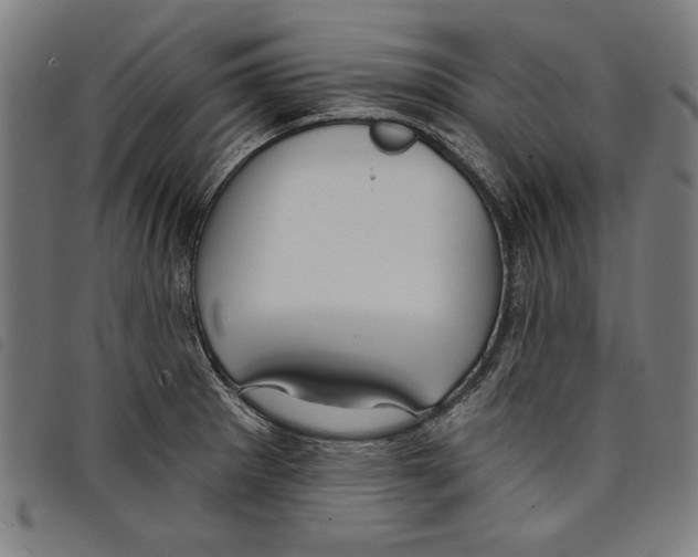 X0000097751281200804041054