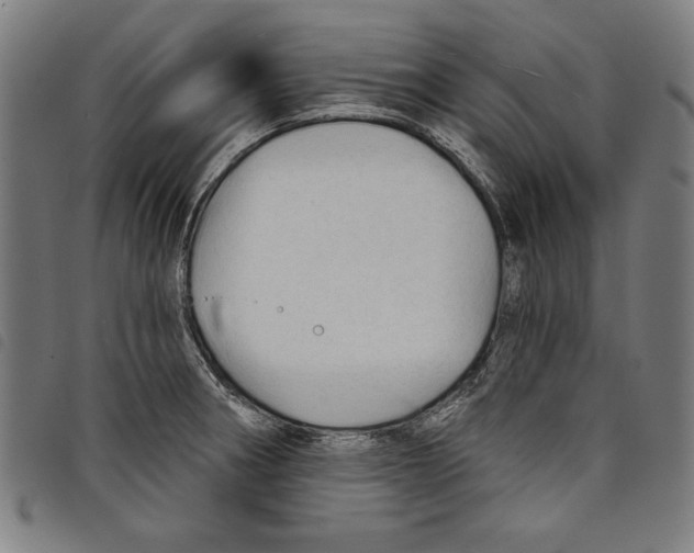 X0000097751282200804041054