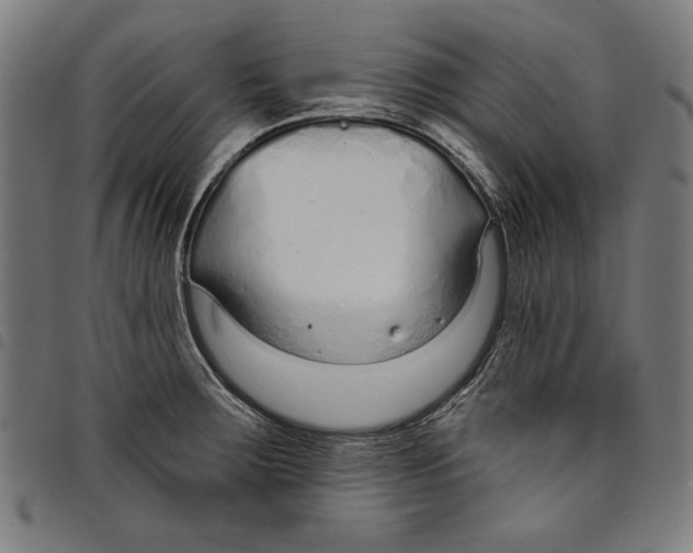 X0000097751283200804041054