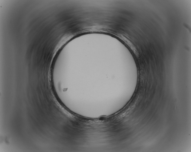 X0000097751285200804041054