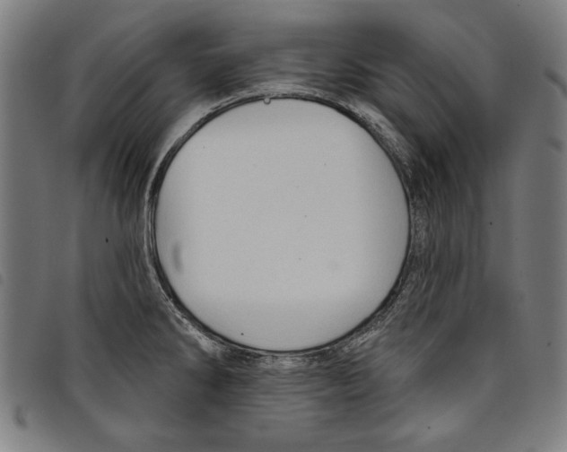 X0000097751286200804041054