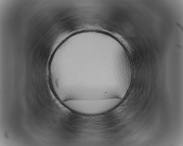 X0000097751287200804041054