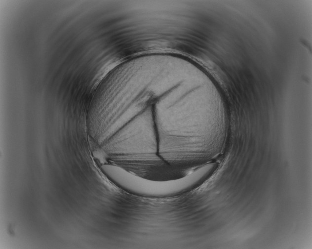 X0000097751289200804041054