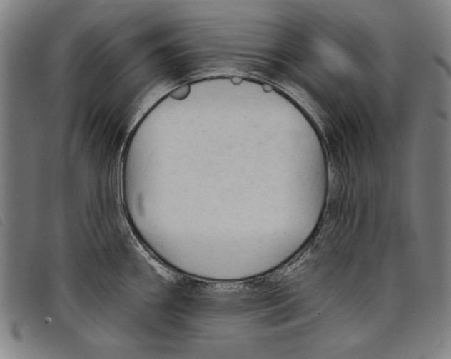 X0000097751290200804041054