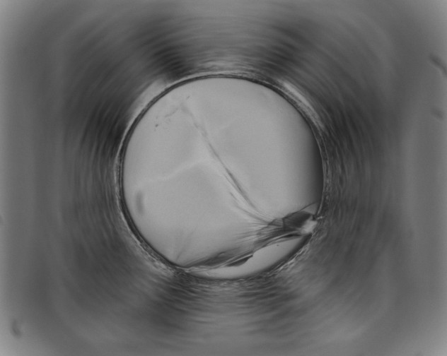 X0000097751291200804041054