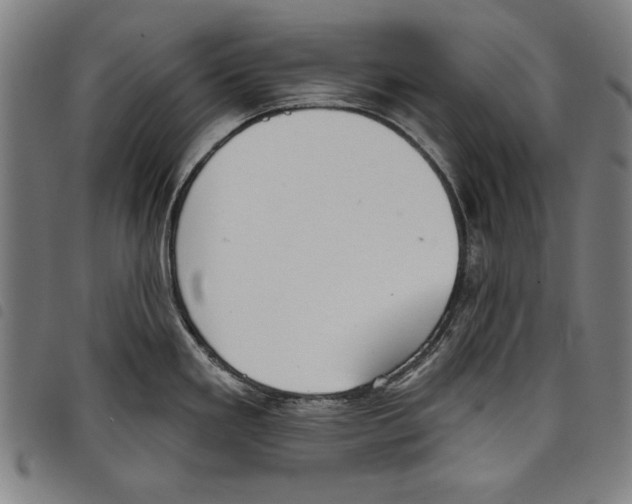 X0000097751293200804041054