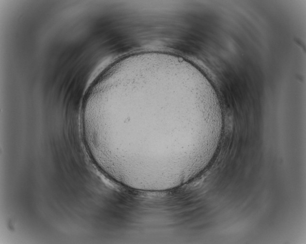 X0000097751294200804041054