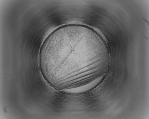 X0000097751295200804041054