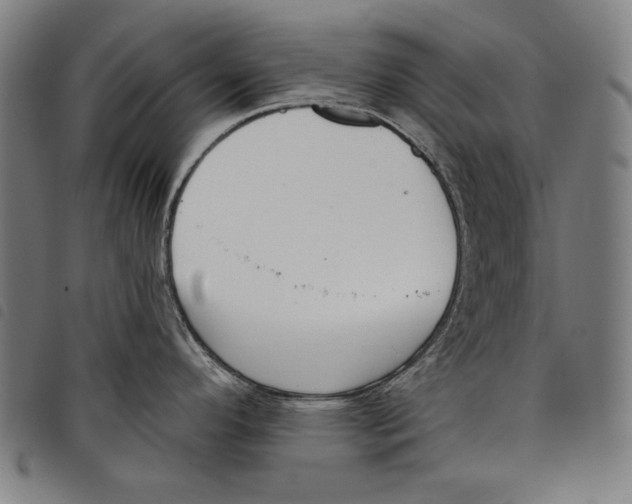 X0000097751296200804041054