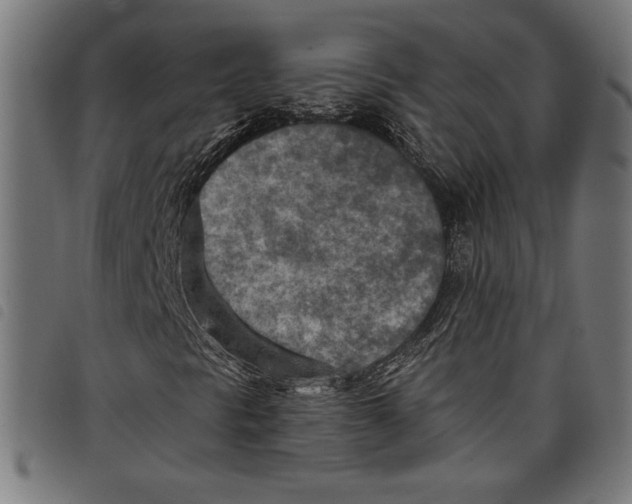 X0000097751297200804041054