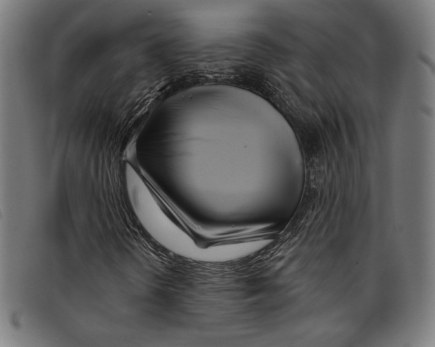 X0000097751298200804041054