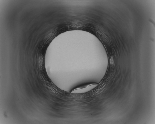 X0000097751299200804041054