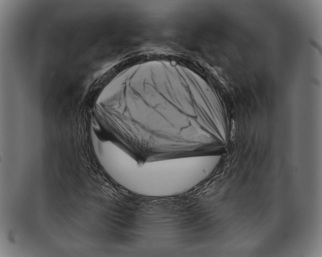 X0000097751303200804041054